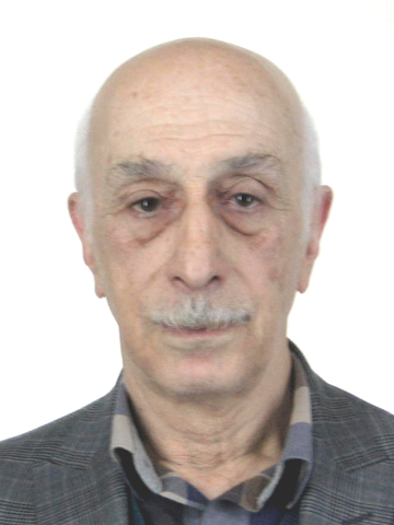 დარასელია დიმიტრი მიხეილის ძე