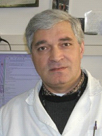 ნერგაძე სოლომონ