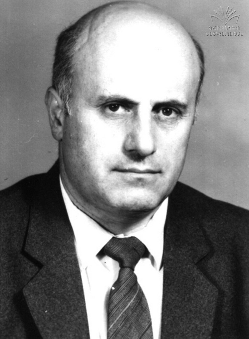 სიდამონიძე შოთა იოსების  ძე